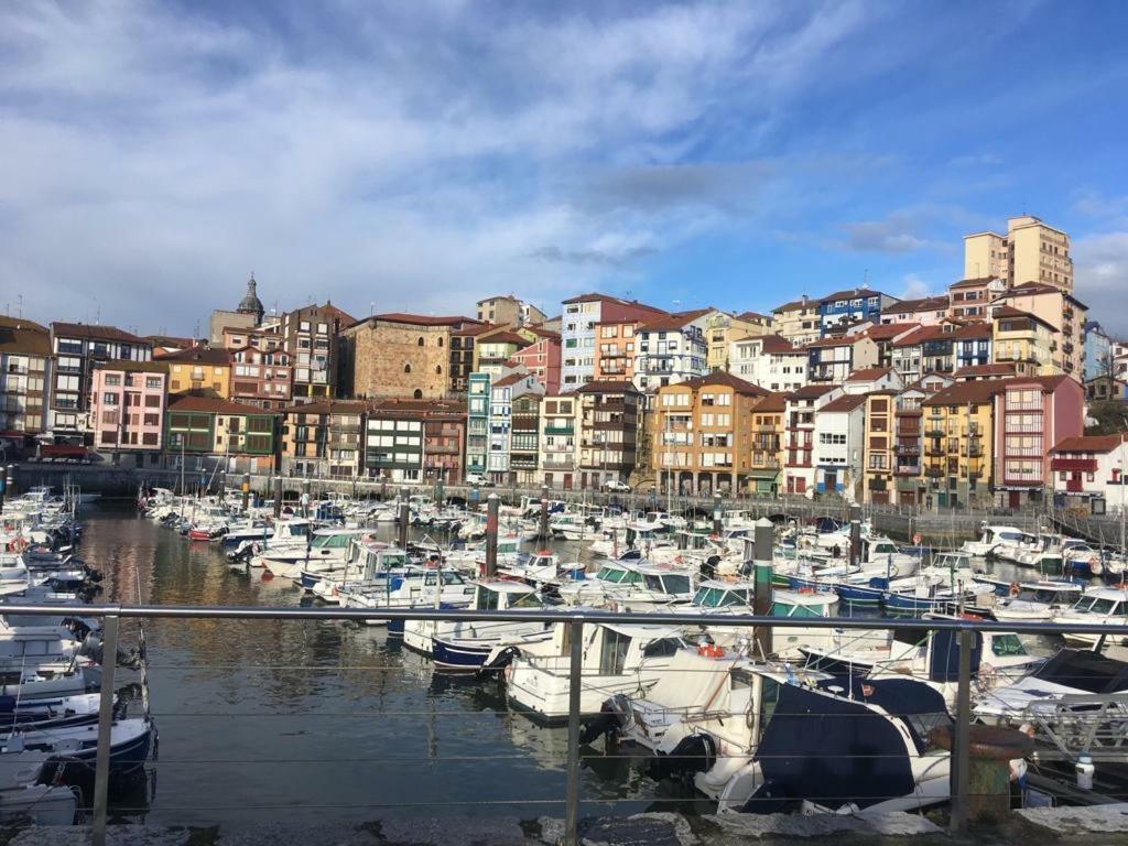 Urdaibai Holiday home